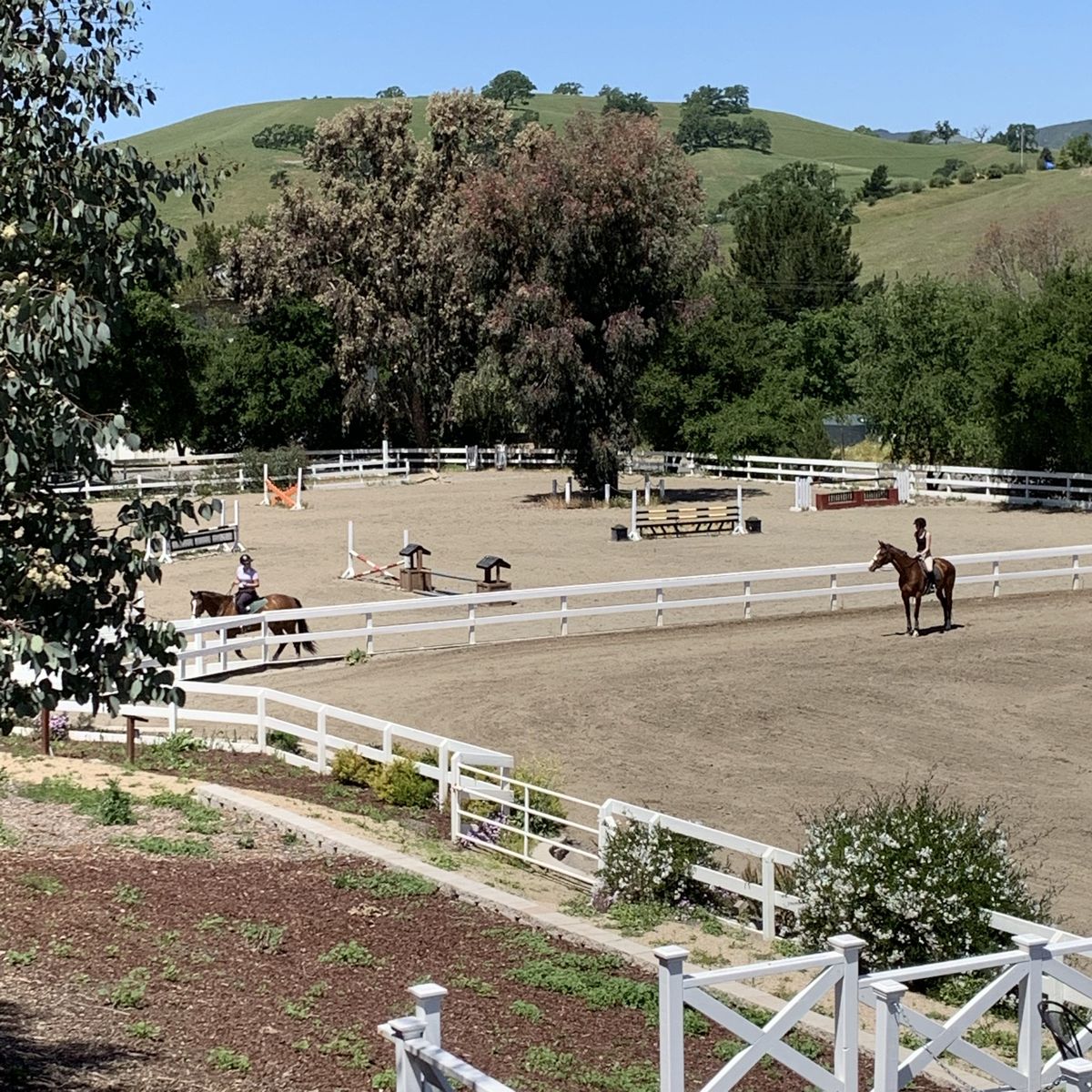 A professional rider on a horse